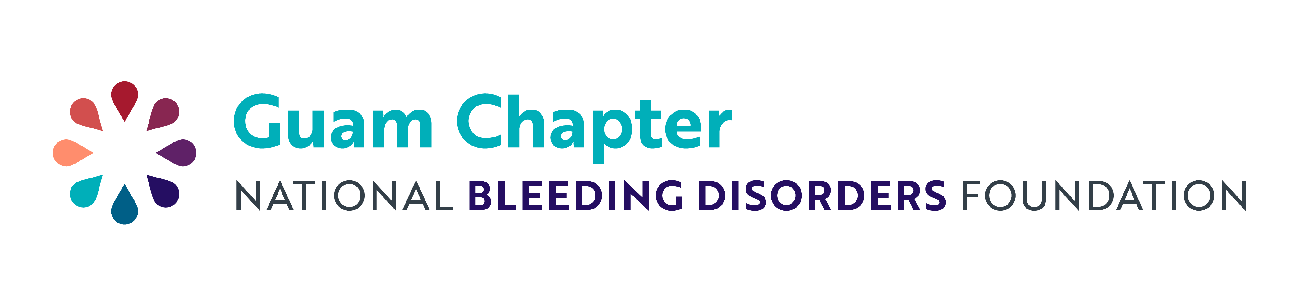 Guam Chapter, NBDF Logo