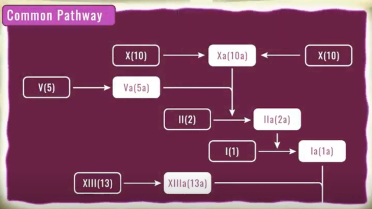 Common Pathway