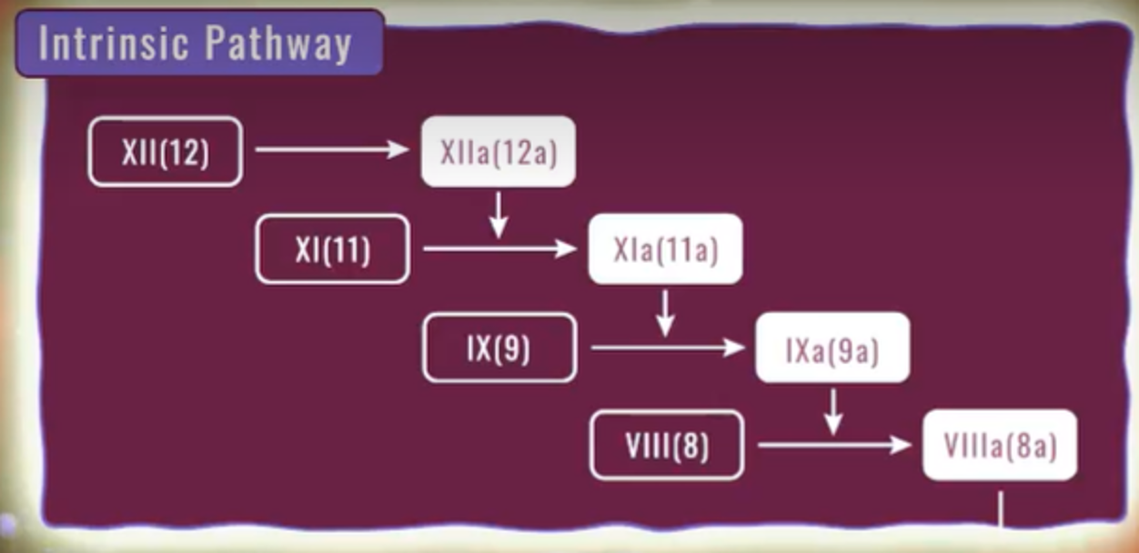 Intrinsic Pathway