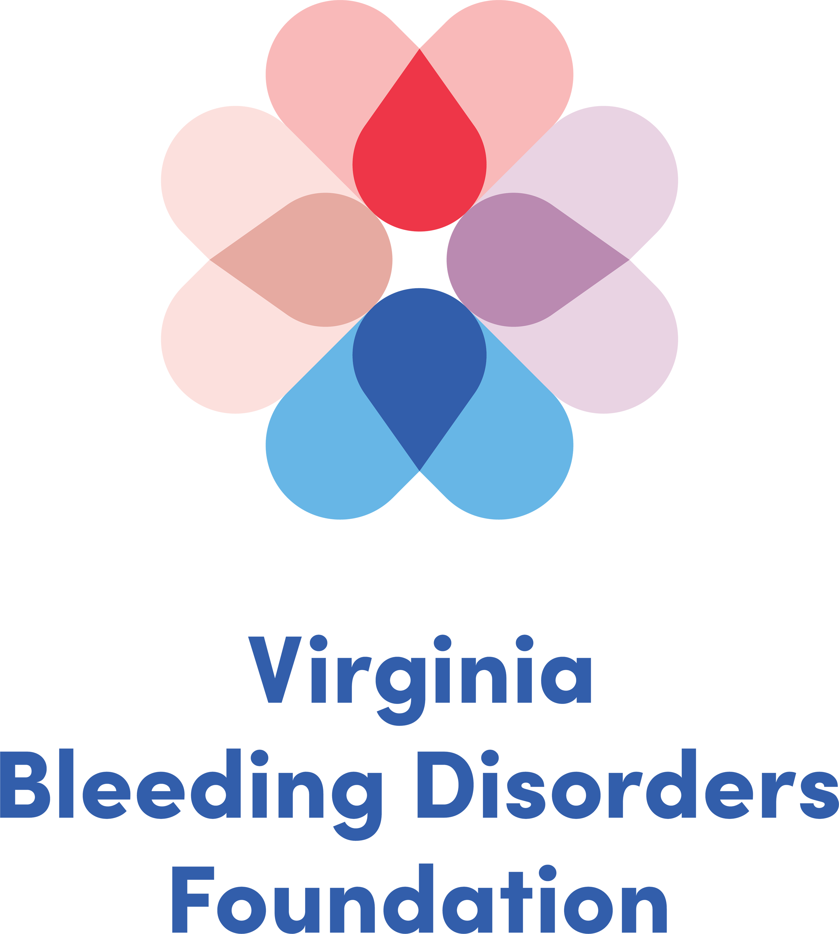 Virginia Bleeding Disorders Foundation Logo