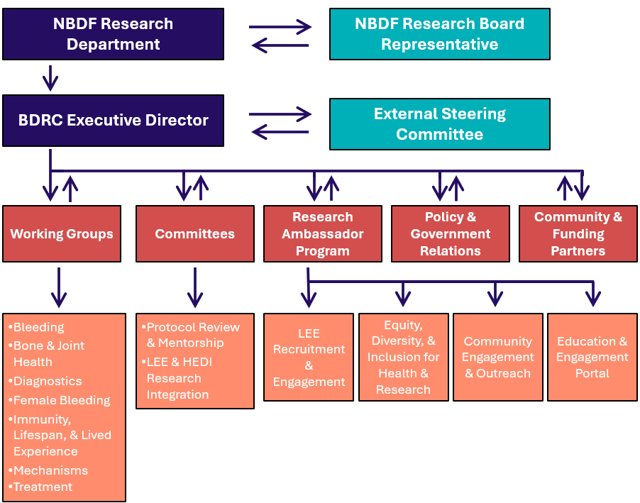 A graphical description of the BDRC dynamic governance structure. The NBDF Research Board representative works directly with NBDF's Research Department to lead the BDRC executive director, who works directly with the external steering committee. The Executive Director is reported to by the working groups (bleeding, bone and joint health, diagnostics, female bleeding, mechanisms, treatment, and immunity, lifespan, and lived experience), the committees (protocol review and mentorship, lee and hedi research integration), the Research ambassador program, policy and government relations, and community funding and partners.