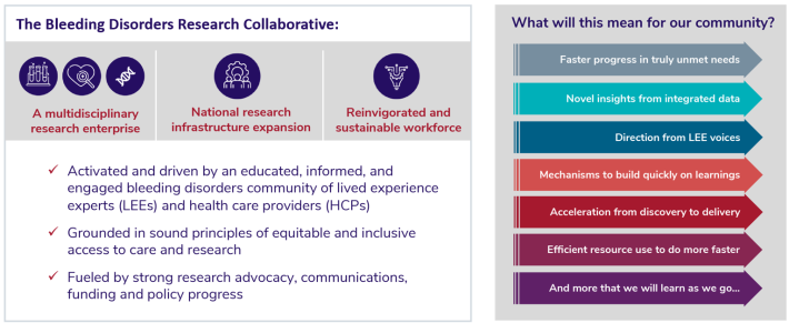 A stylized graphic illustrating the foundational structure and expected impact of the Bleeding Disorders Research Collaborative.  Left side (purple icons and headers): Three icons represent the pillars of the collaborative:  A test tube cluster labeled “A multidisciplinary research enterprise.”  A heart and magnifying glass labeled “National research infrastructure expansion.”  A DNA strand forming a caduceus labeled “Reinvigorated and sustainable workforce.”  Below the icons, three check-marked statements describe the collaborative:  Activated and driven by an educated, informed, and engaged bleeding disorders community of lived experience experts (LEEs) and healthcare providers (HCPs).  Grounded in sound principles of equitable and inclusive access to care and research.  Fueled by strong research advocacy, communications, funding, and policy progress.  Right side (arrow stack): A vertical series of multicolored right-pointing arrows lists benefits for the community:  Faster progress in truly unmet needs.  Novel insights from integrated data.  Direction from LEE voices.  Mechanisms to build quickly on learnings.  Acceleration from discovery to delivery.  Efficient resource use to do more faster.  And more that we will learn as we go...