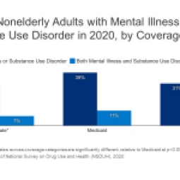 Demographics and Health Insurance Coverage of Nonelderly Adults With ...