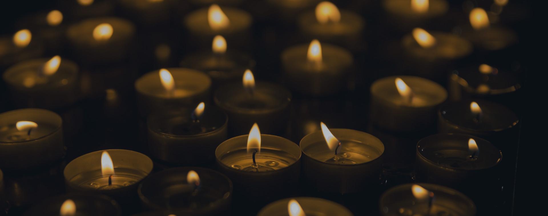 NBDF Honors the Life of Lynn Malec, MD, MSc | NBDF