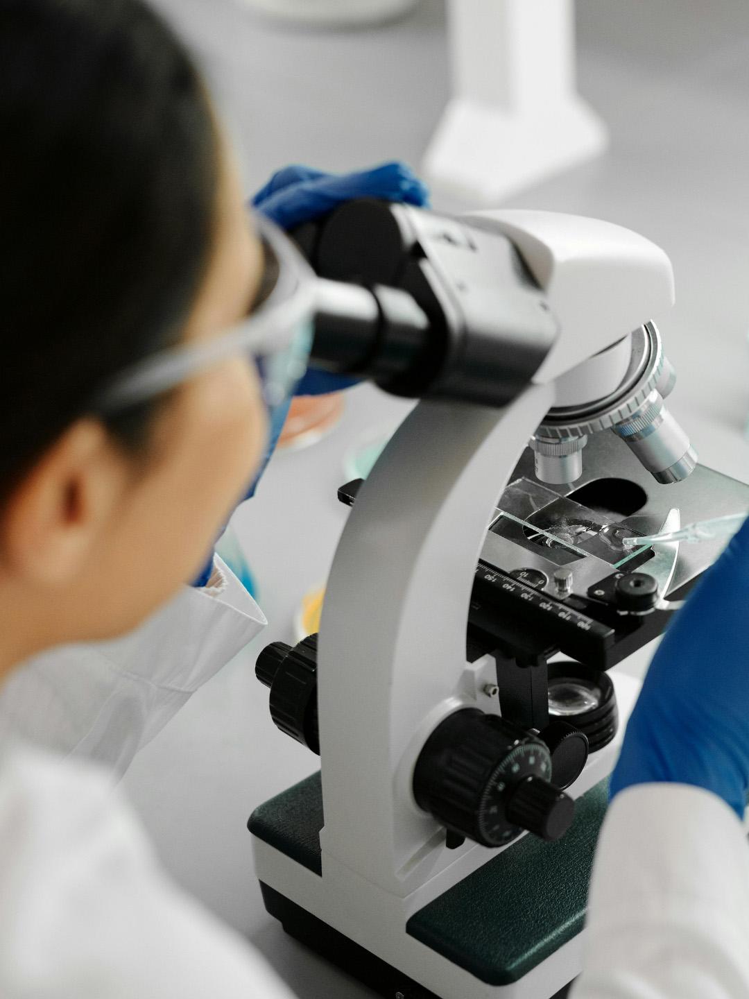 Research looking into a microscope