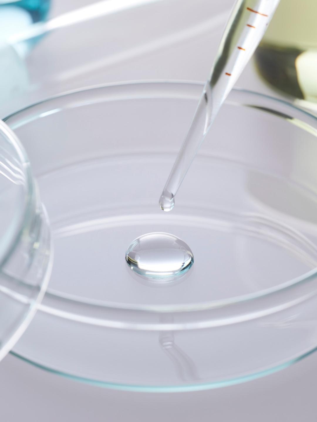 A transfer pipette squeezing liquid onto a Petri dish