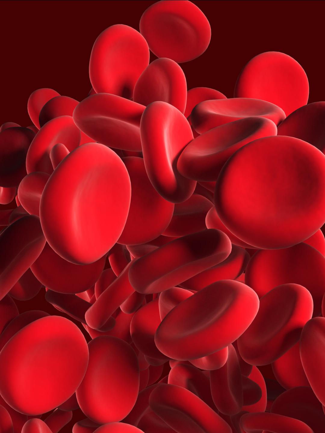 Flowing red blood cells
