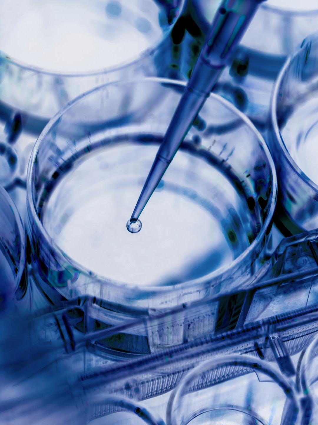 A research dish and a dropper with fluid coming out