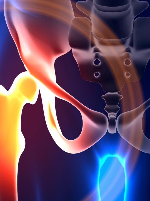 Bone Health and Hip