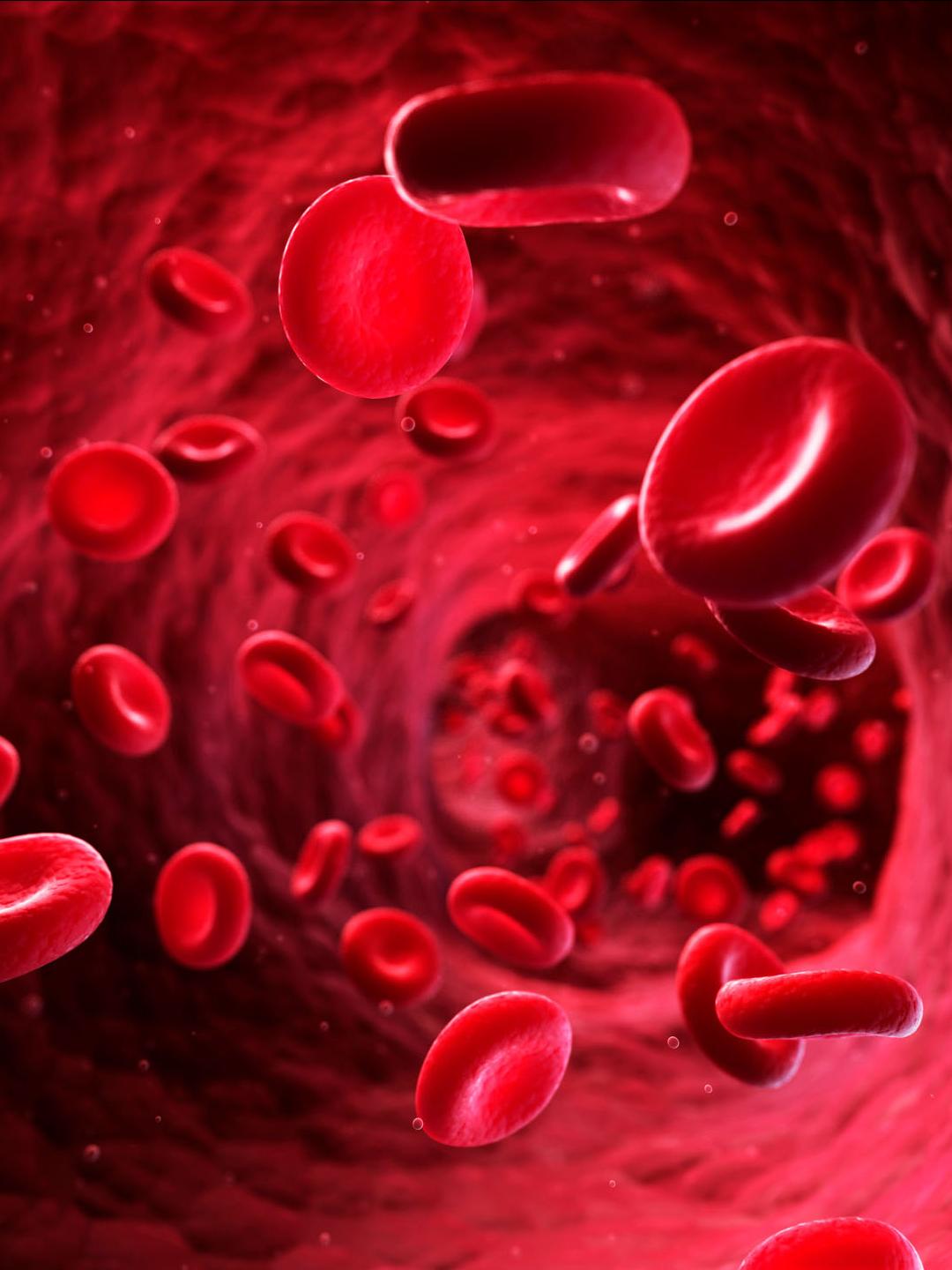 Red Blood Cells