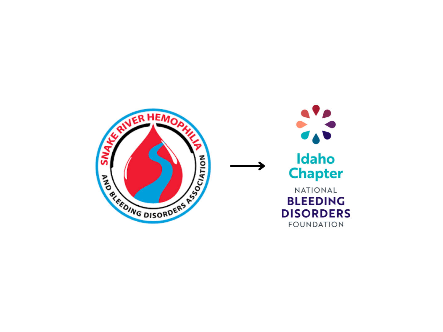 The logos of Snake River Bleeding Disorders Association and NBDF Idaho