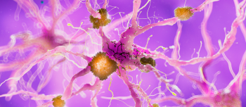 Neurology Nerves
