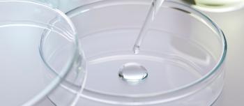 A transfer pipette squeezing liquid onto a Petri dish