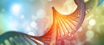 Gene Therapy with Transplanted Cells Shows Promise in Hemophilia A Mice