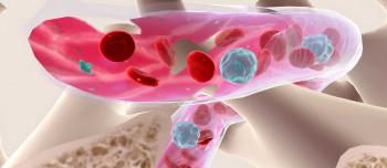 Red blood cells bone marrow