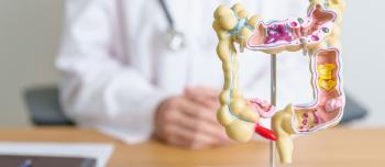Digestive System Image