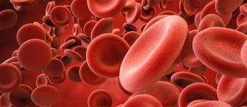 Red Blood cells moving in bloodstream