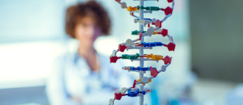CHOP Researchers Study Factor VIIa Prophylaxis Through Gene Transfer