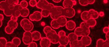 New Study Demonstrates Potential for Reducing Factor VIII Inhibitors in Hemophilia A
