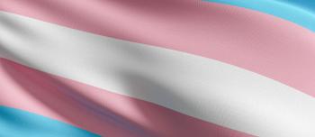 Transgender flag