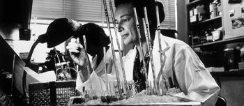 NHF Awards Three Judith Graham Pool Postdoctoral Research Fellowships